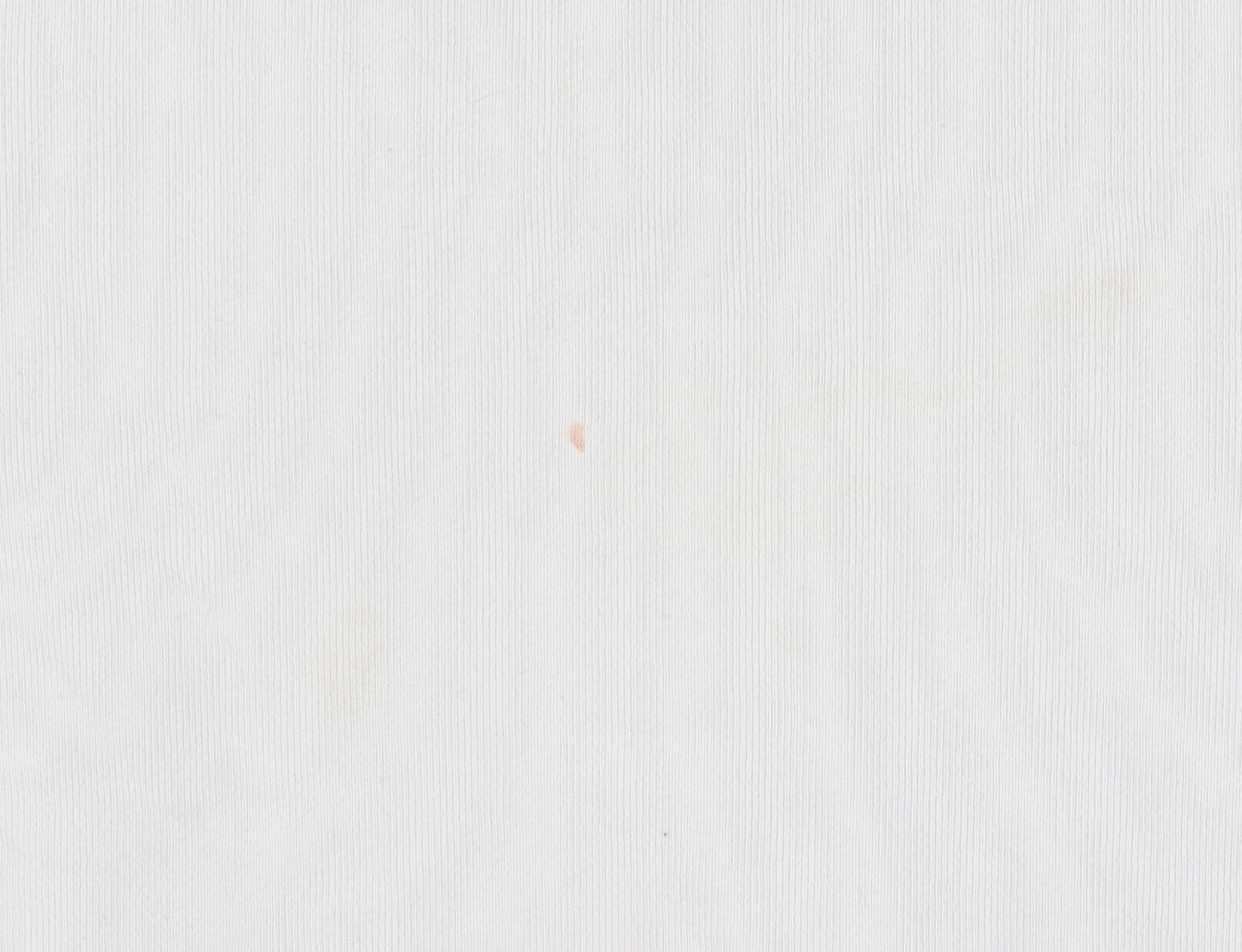 Uniqlo Ivory Cotton Unisex Pullover Sweatshirt S