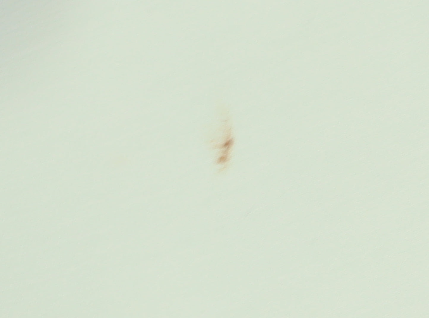 BHS Women's Green Mini Skirt, Size 20, Knee Length