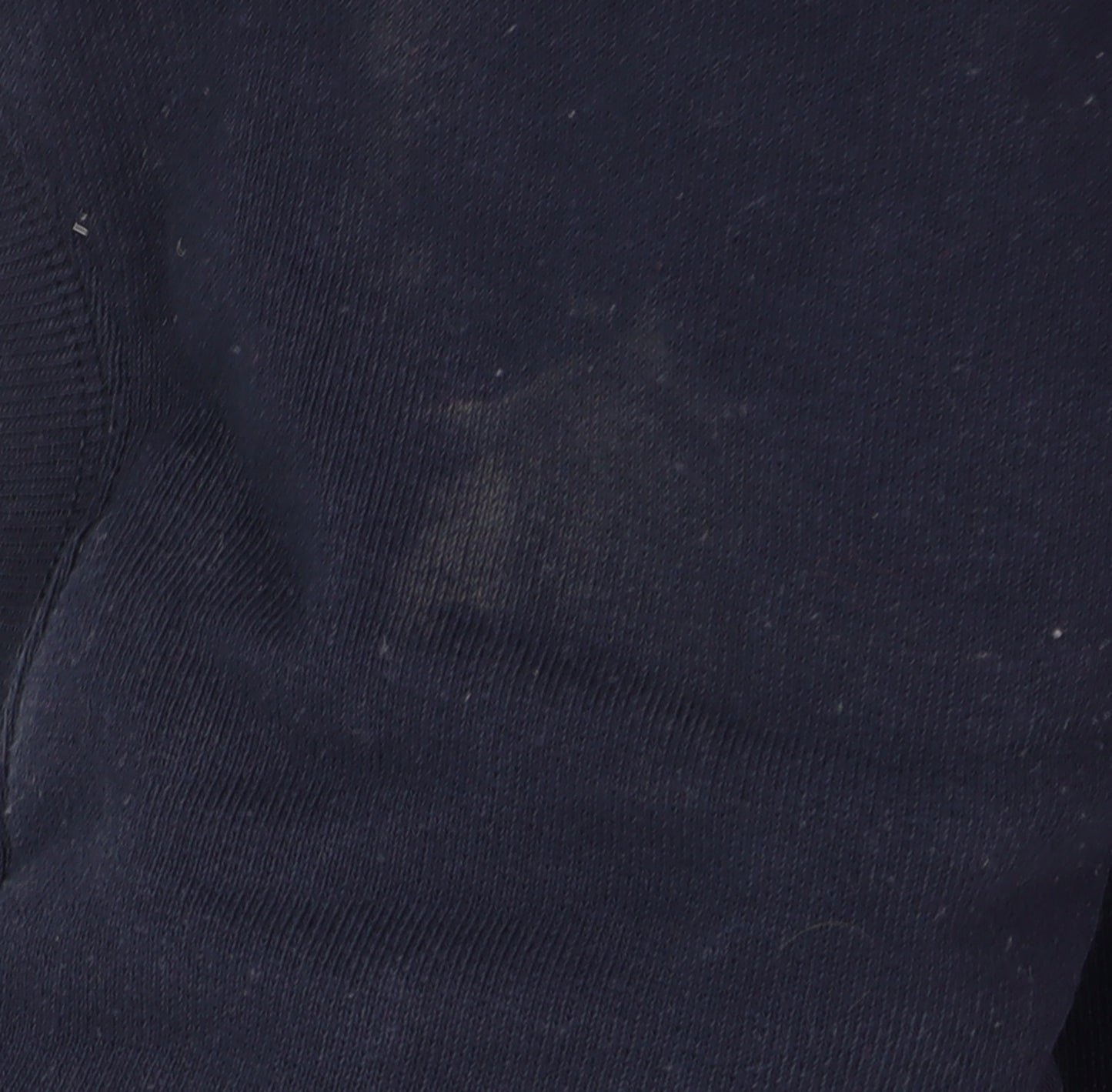 Champion Men's Blue Pullover Sweatshirt L Fleece