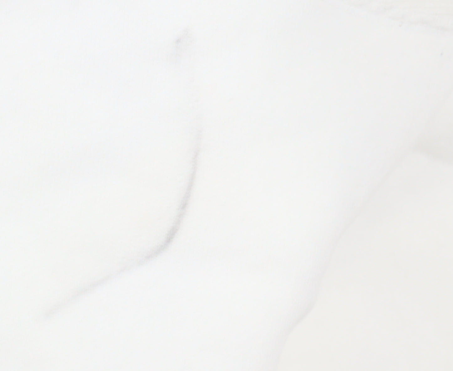 Champion Men's White Hoodie L Pullover Cotton Logo