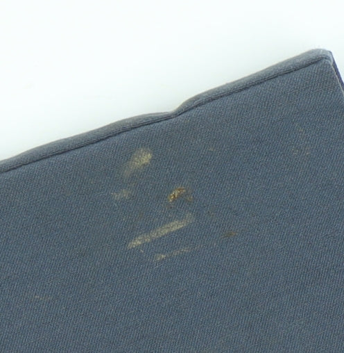 Marla Wynne Women's Blue Plus Size 22 Trousers