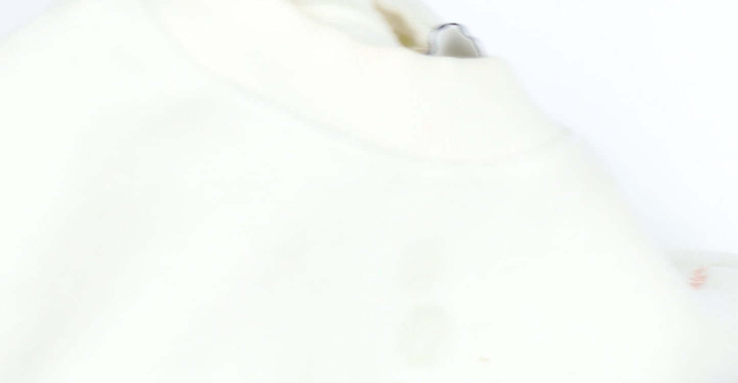 Champion Women's Ivory XS Colourblock Pullover Sweatshirt