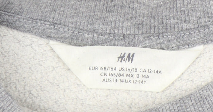 H&M Boys Grey Skateboarding Graphic Sweatshirt 12-13 Years