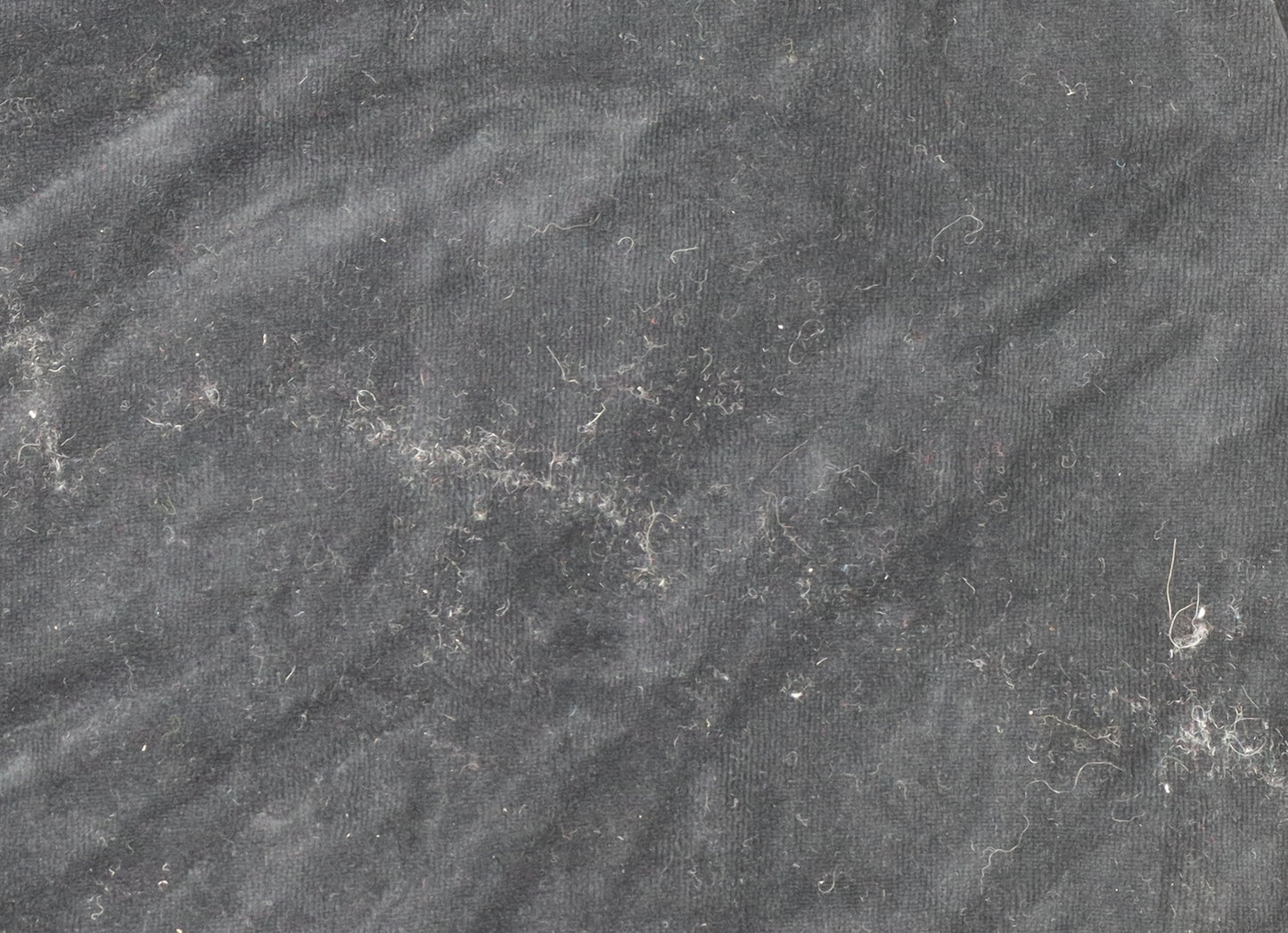 Zara Women's Black Velvet Pullover Sweatshirt with Gold Embellished Horse Design Size S