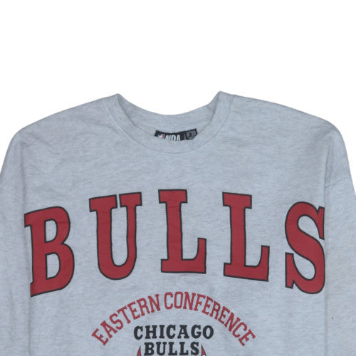 NBA Chicago Bulls Men's Grey Sweatshirt Large Crew Neck Pullover