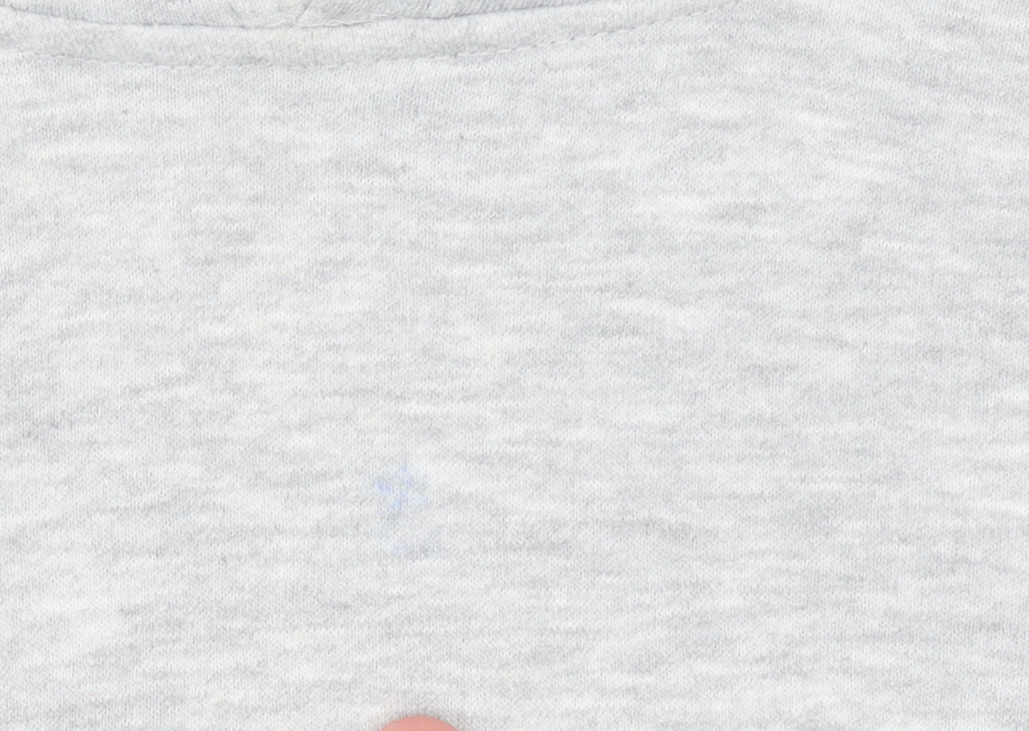 Champion Boys Grey Pullover Hoodie L Fleece Logo Sportswear