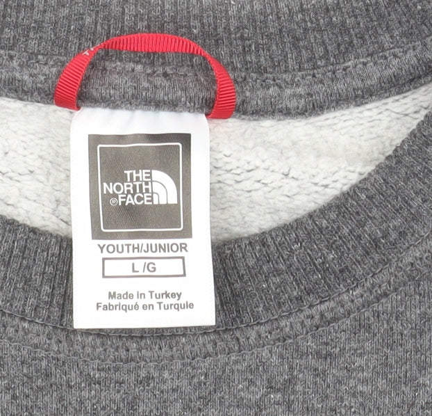 The North Face Boys Grey Pullover Fleece Sweatshirt L Graphic Logo