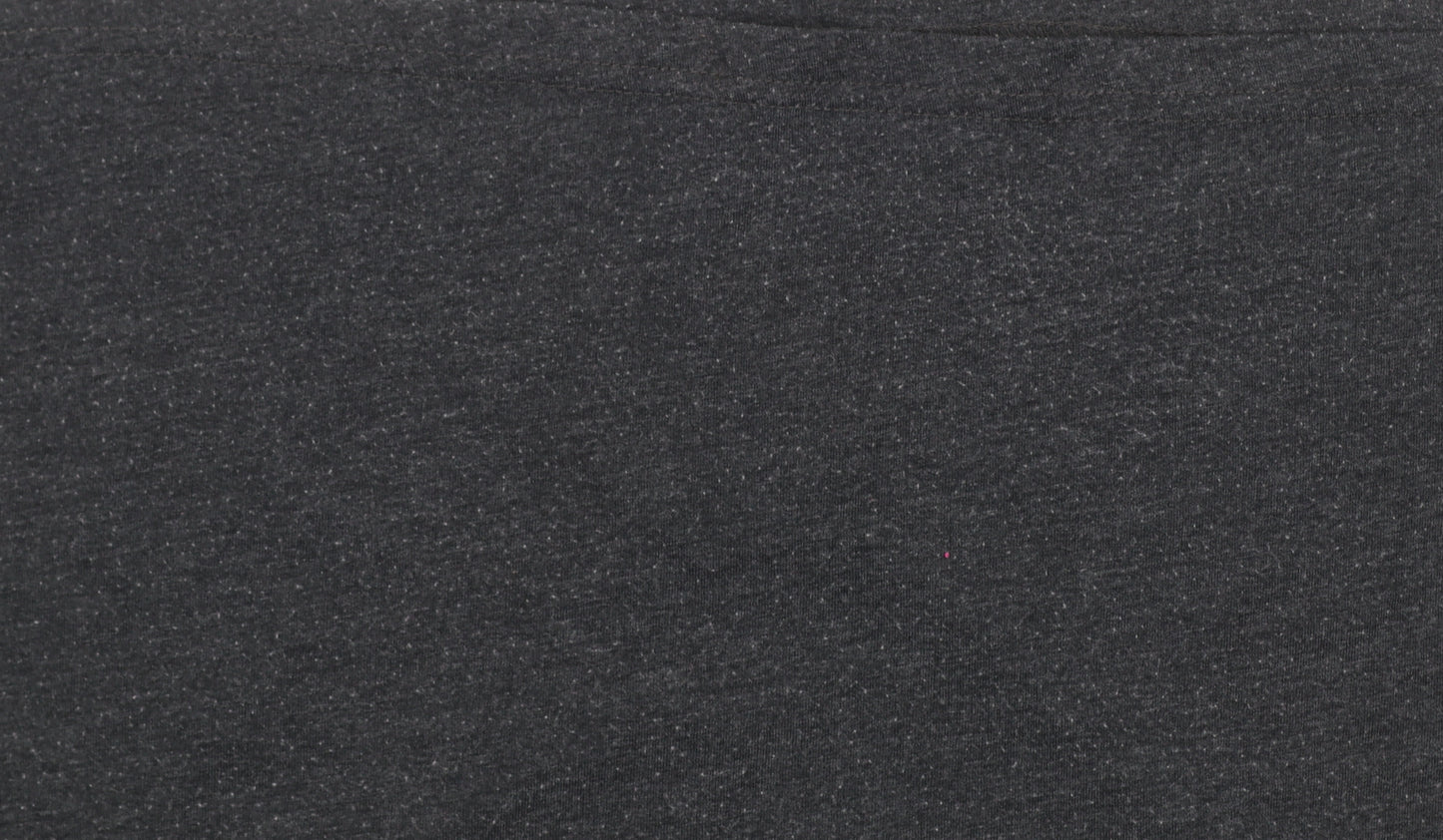 Garage Inc Men's Grey Adventure Print Crew Neck Graphic T-Shirt Medium