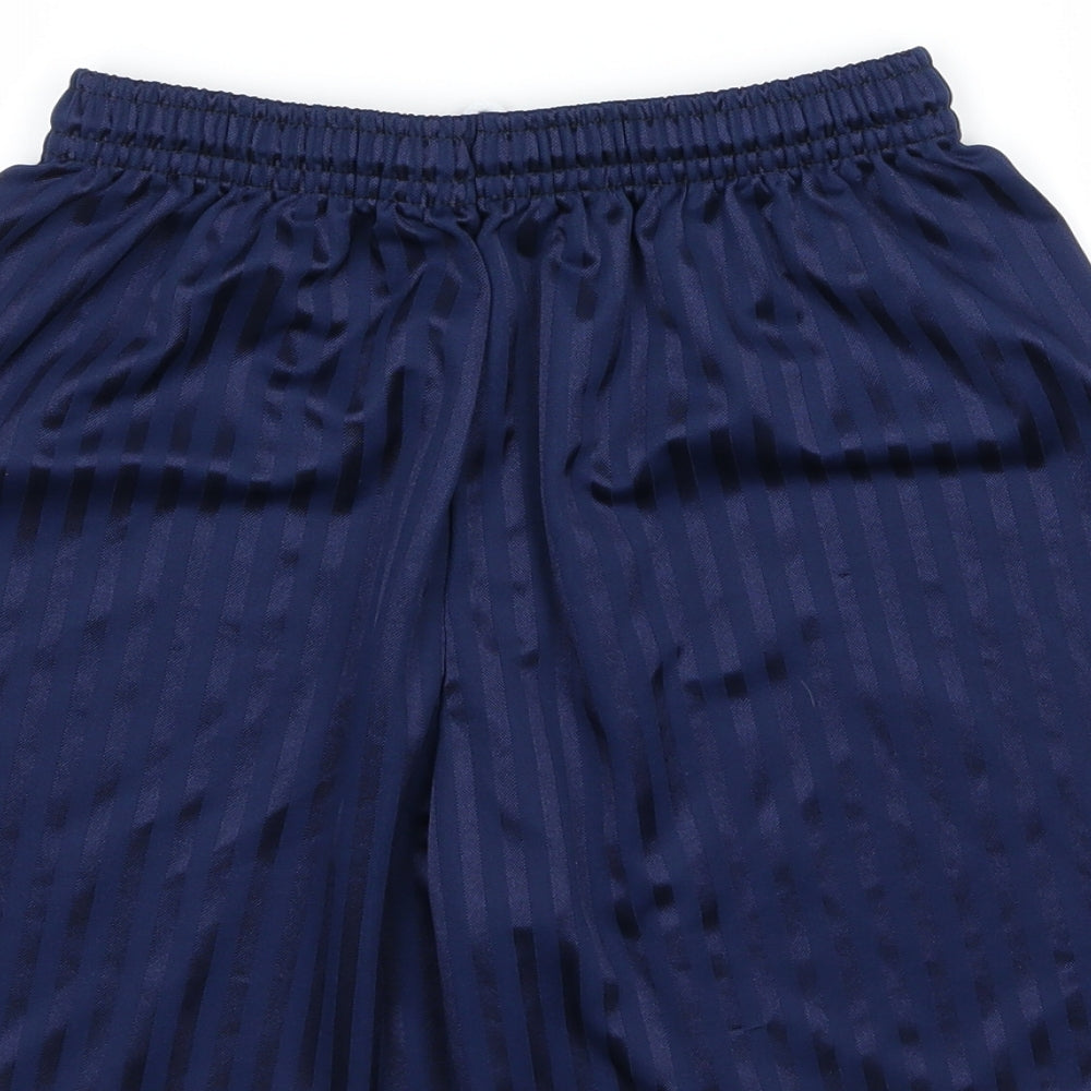 Preworn Mens Blue Striped Sweat Shorts Size S