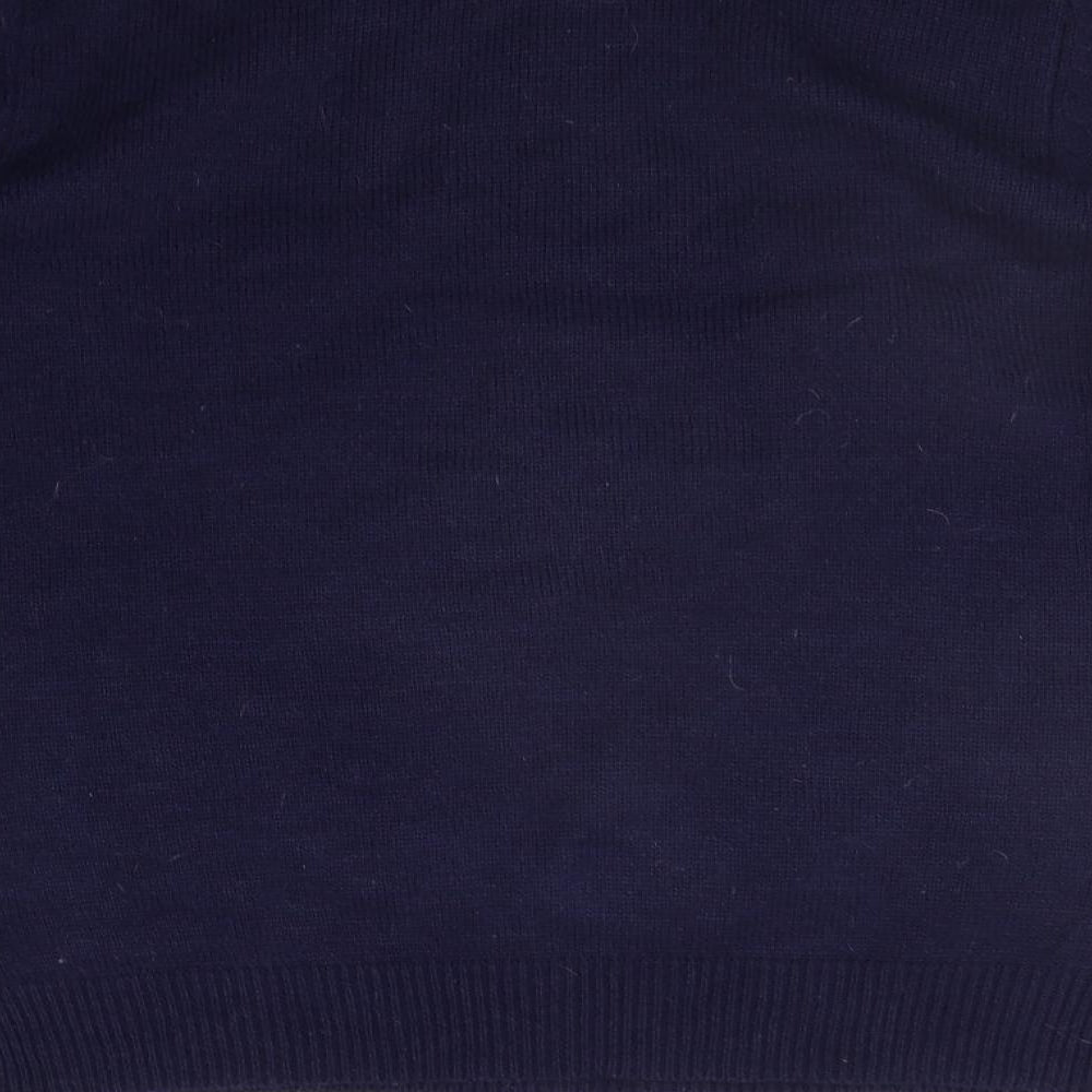Cedar Wood State Mens Blue Pullover Jumper Size M - Christams