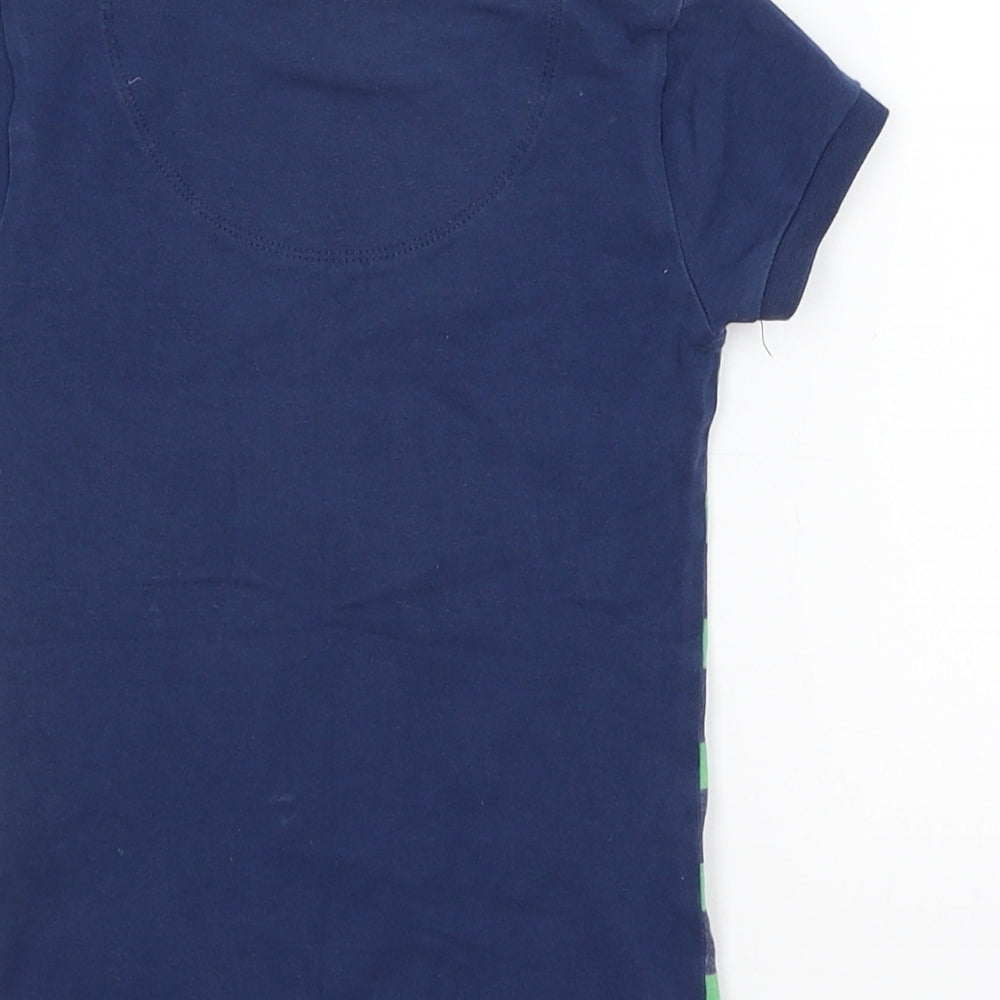 Harry Bear Boys Blue Striped Basic T-Shirt Size 5 Years - Tyrannosaurus Rex