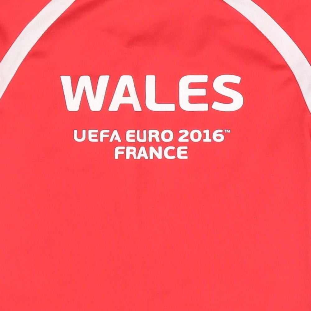 Euro 2016 Boys Red Basic T-Shirt Size 3-4 Years - wales