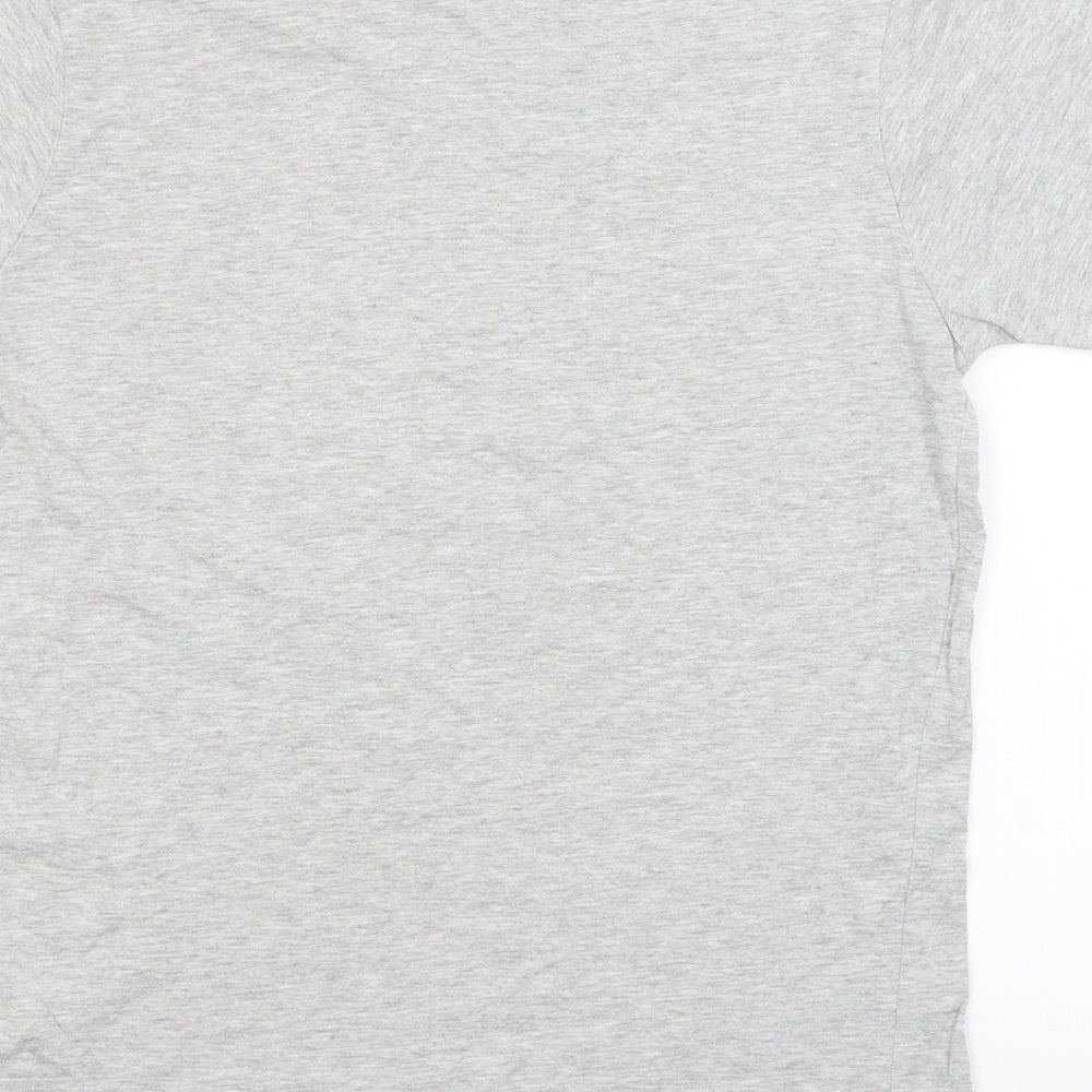 Cedar Wood State Mens Grey T-Shirt Size M
