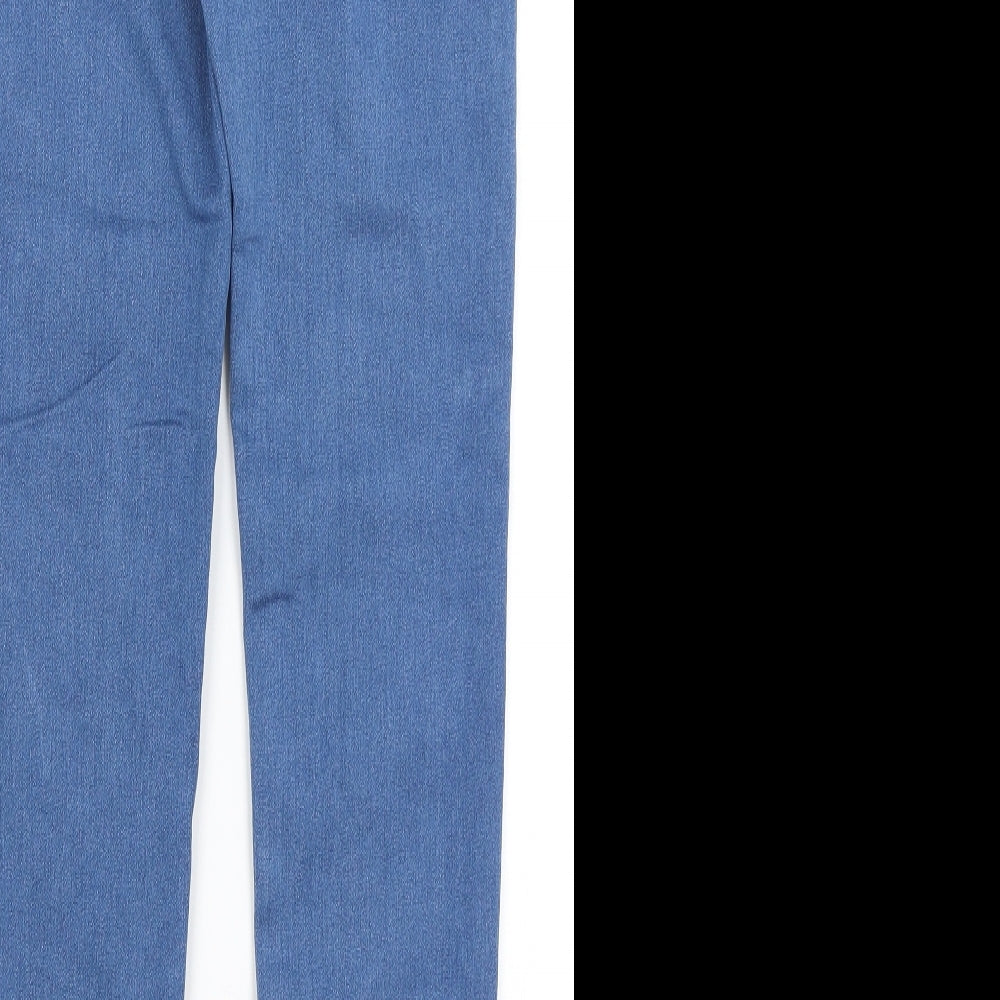 The Rockin Rev Womens Blue Skinny Jeans Size 6 L28.5 in