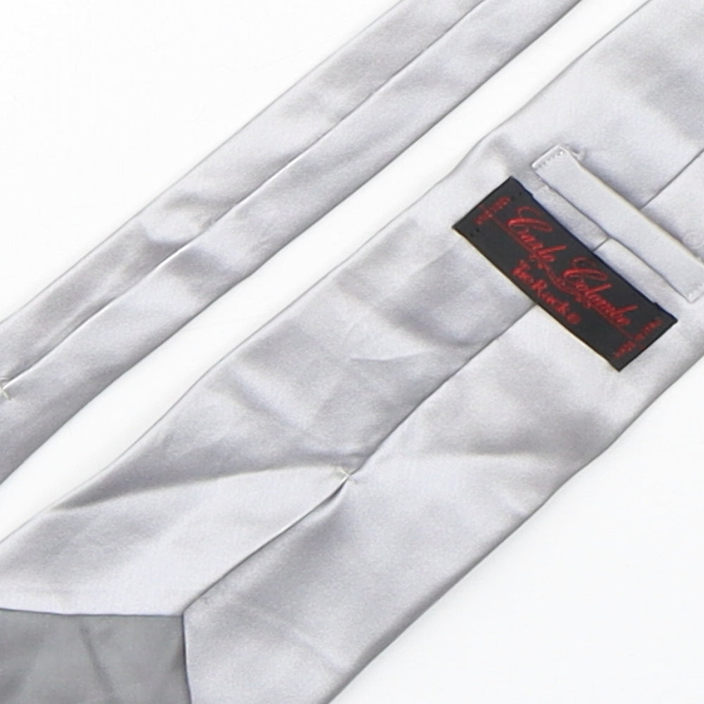 Carlo Colombo Mens Silver Silk Pointed Tie One Size