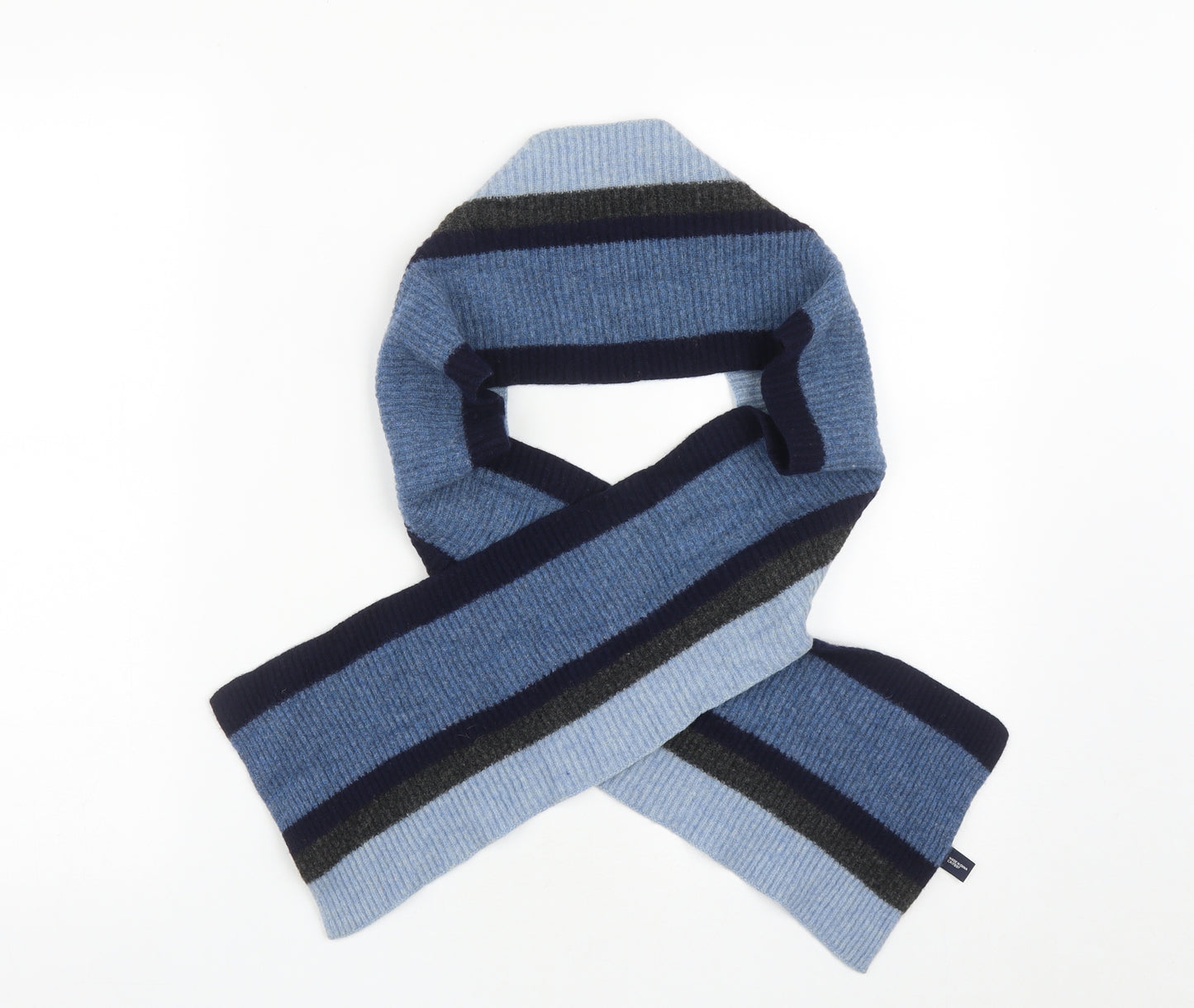 Gap Mens Blue Striped Wool Scarf One Size
