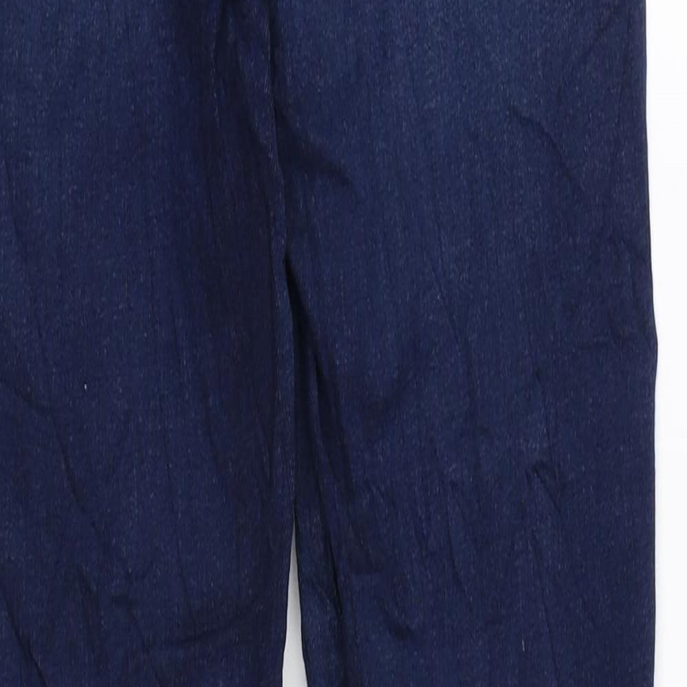 Preworn Womens Blue Cotton Skinny Jeans Size 26 in L29.5 in Regular Zip