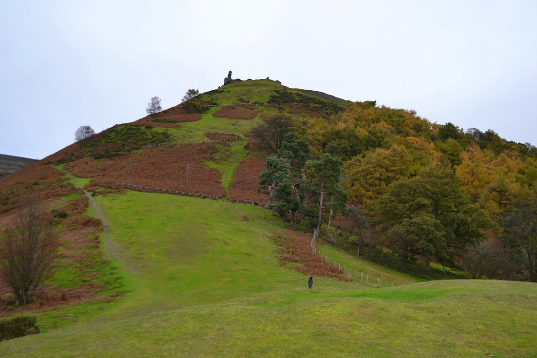 How To Climb A Mountain?