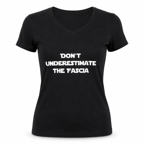 SF Women Womens Black   Basic T-Shirt Size L