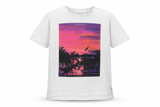 Front view of Next boys’ white basic t-shirt, size 5, years