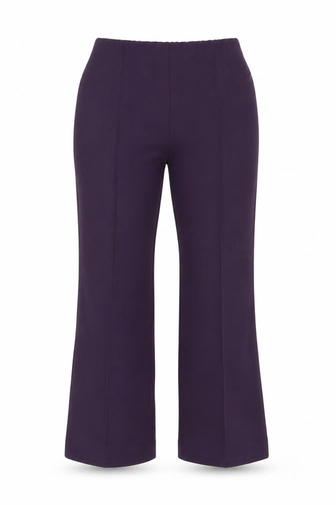 Autonomy Womens Purple   Trousers  Size 12 L24 in