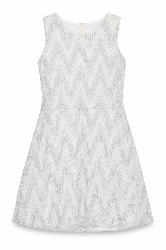 Front view of Gap women’s blue polka dot skater dress, size L