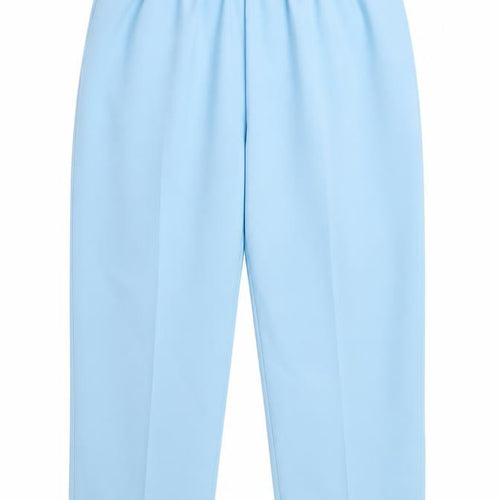 BonWorth Womens Blue  Rayon Trousers  Size XL L29 in