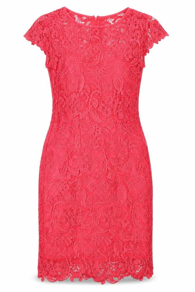 Sttenay Womens Red  Lace Pencil Dress  Size 4