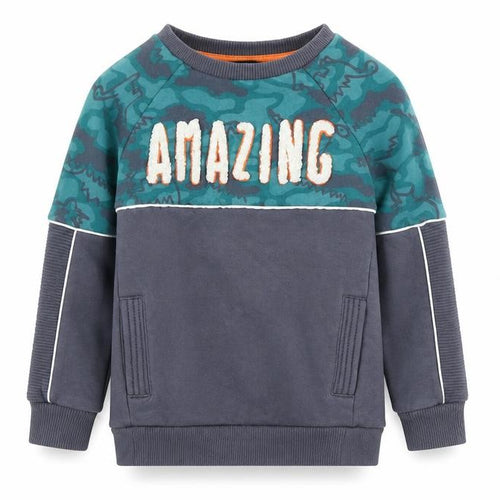 George  Boys Grey   Pullover Sweatshirt Size 2-3 Years  - DInosaur