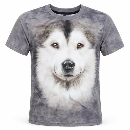 miss go Boys Grey   Basic T-Shirt Size S