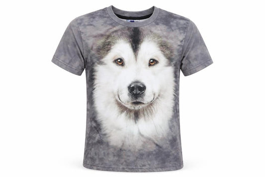 Front view of miss go boys’ grey basic t-shirt, size S