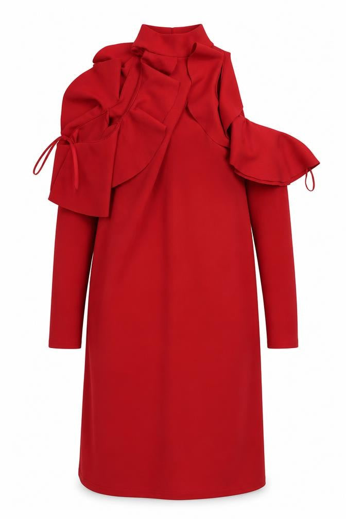Ayanapa Womens Red   A-Line  Size 12