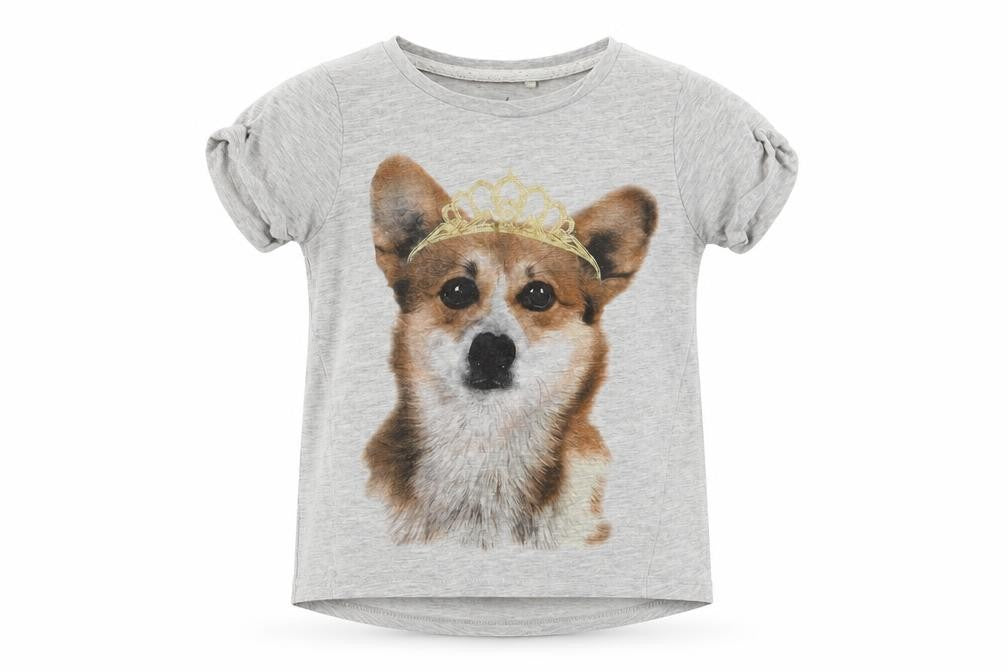 Front view of Next girls’ grey basic t-shirt, size 4, years - corgie