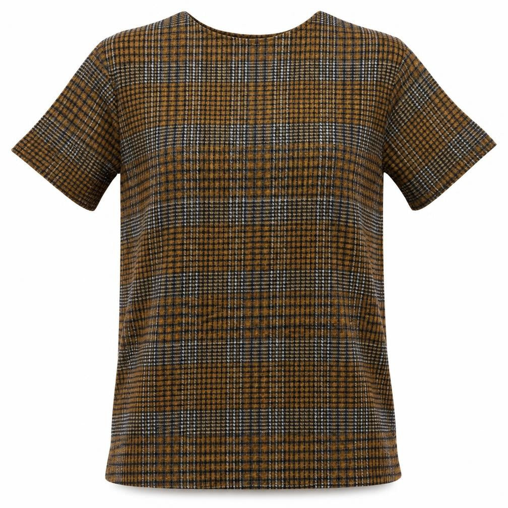Front view of Zara women’s brown check basic t-shirt, size S