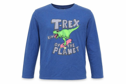 Front view of Zara boys’ blue basic t-shirt, size 10-11, years - t-rex