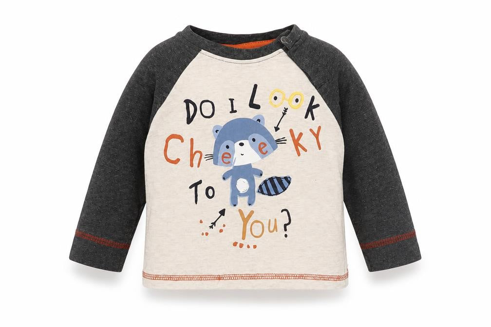 Front view of Lullaby boys’ beige basic t-shirt, size 6-9, months
