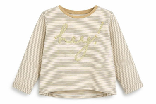 Front view of Next girls’ brown striped basic t-shirt, size 12-18, months