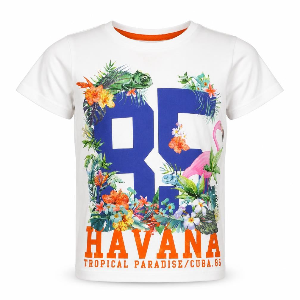 Matalan Girls White   Basic T-Shirt Size 5 Years