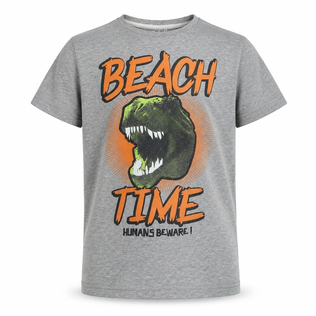 Front view of Rebel boys’ grey basic t-shirt, size 9-10, years - dinosaur