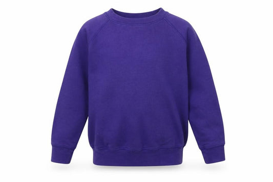 Front view of westex boys’ purple pullover sweatshirt, size 5-6, years