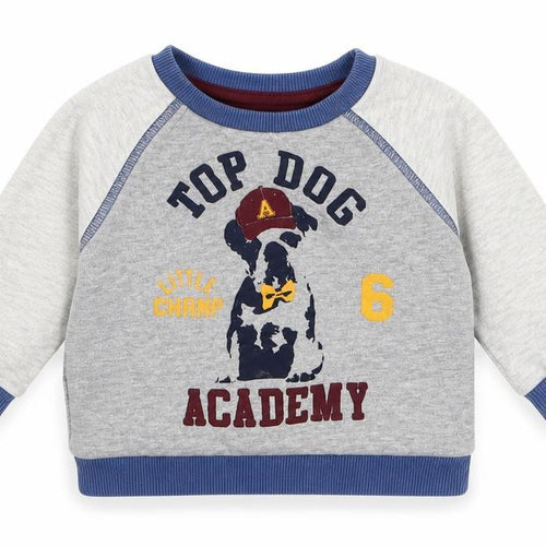 F&F Boys Grey   Basic T-Shirt Size 6-9 Months  - Top Dog Academy