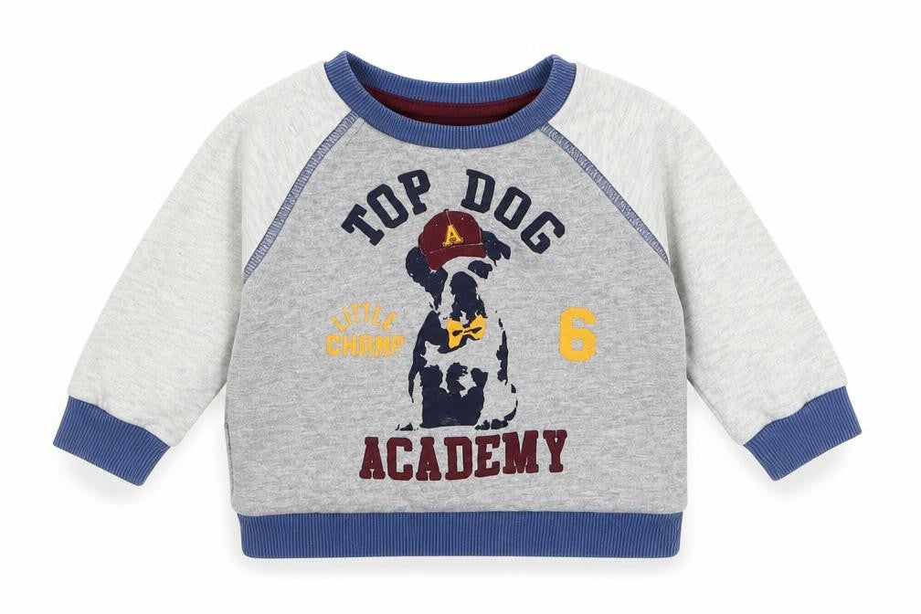 F&F Boys Grey   Basic T-Shirt Size 6-9 Months  - Top Dog Academy