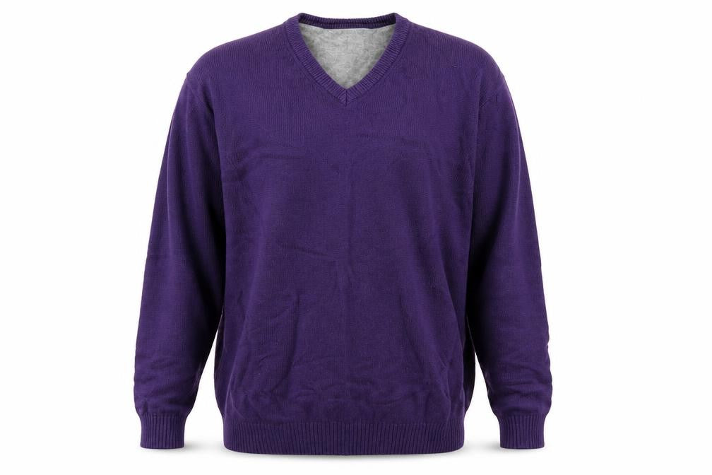 Front view of Maine New England men’s purple pullover sweatshirt, size L
