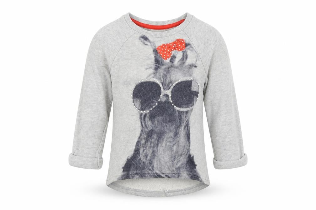 Front view of Next boys’ grey jumper, size 12-18, months - dogs