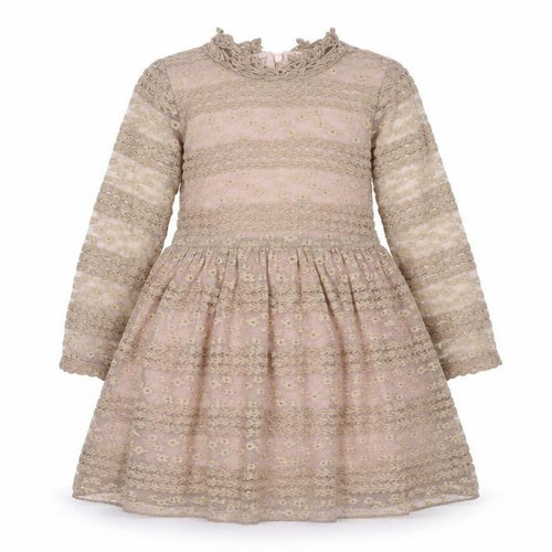 Cotton Splendid Girls Brown   Fit & Flare  Size M