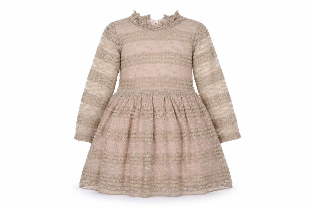 Cotton Splendid Girls Brown   Fit & Flare  Size M