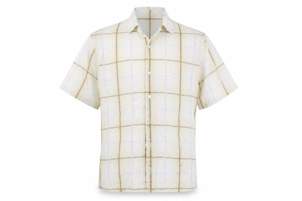 Front view of Linea men’s blue check button-up, size S