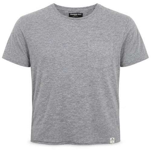 Ceader wood state Mens Grey    T-Shirt Size S  - washable mark