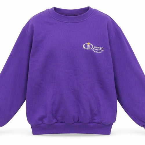 Brigade  Girls Purple   Pullover Jumper Size 8-9 Years  - Quinton Primary