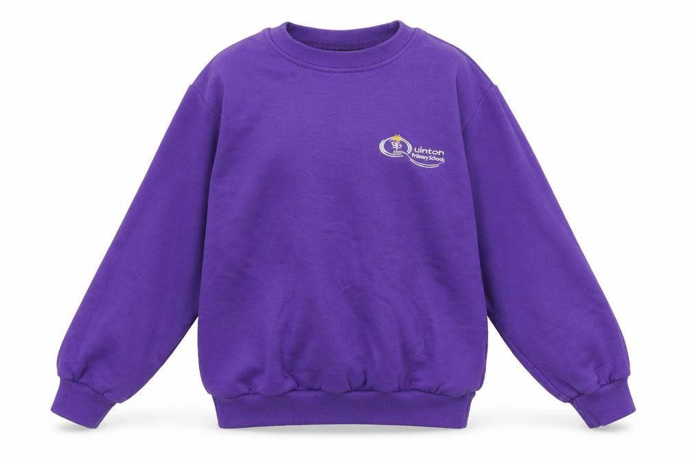 Brigade  Girls Purple   Pullover Jumper Size 8-9 Years  - Quinton Primary